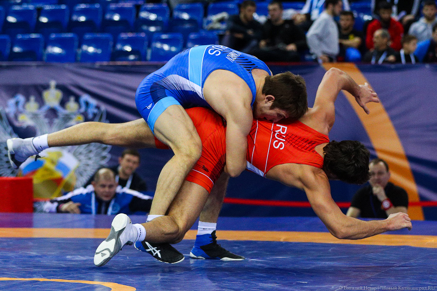 Просто мощь: чемпионат России по греко-римской борьбе идет в Калининграде (фото)