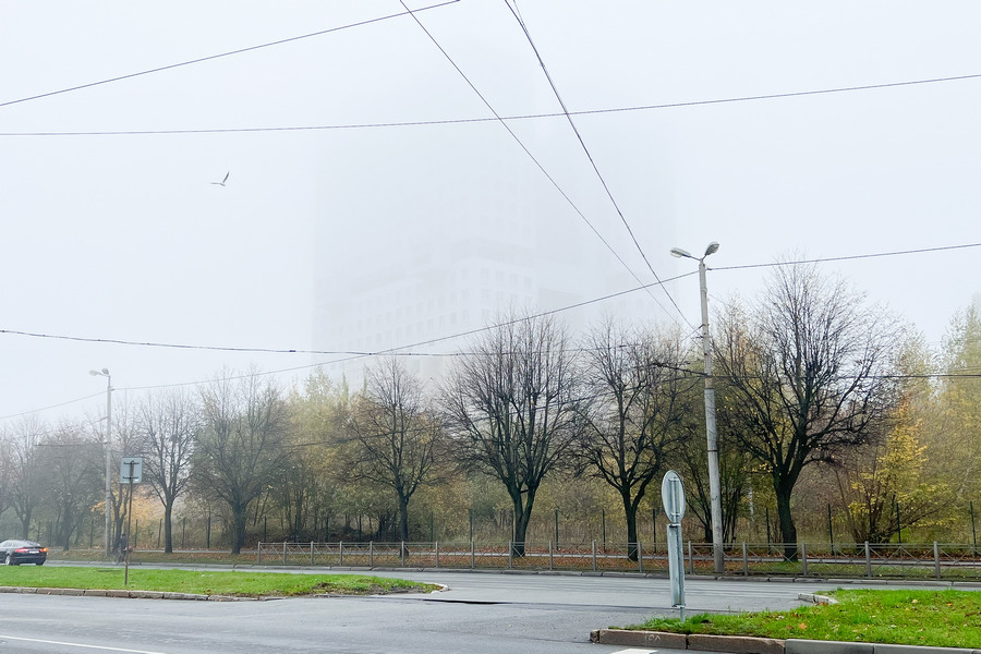 Город в молочной дымке: как Калининград встретил новое утро октября (фото)