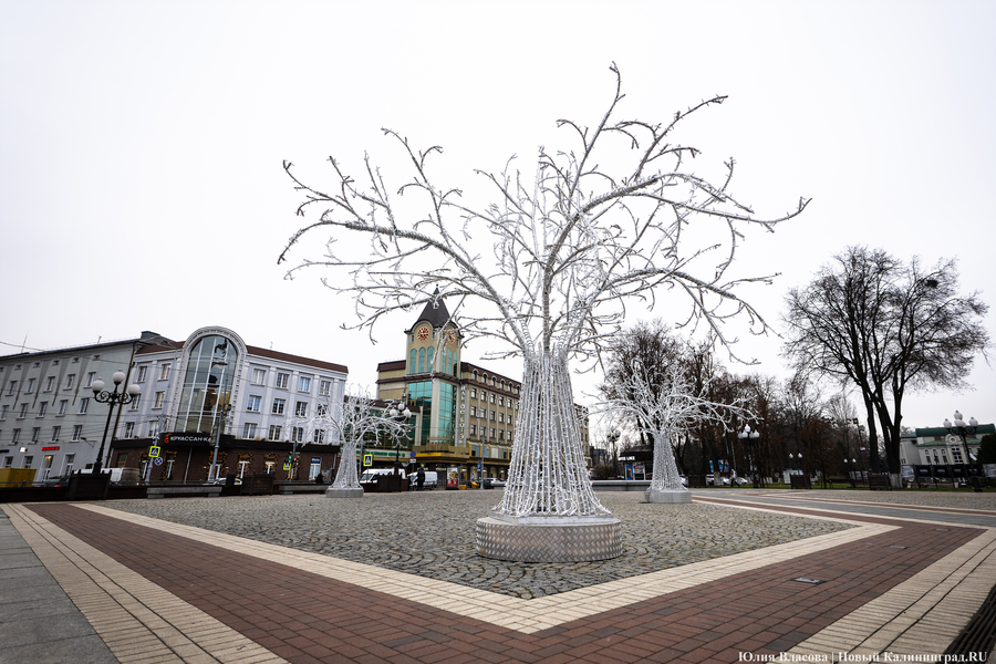 Погода в Калининградской области 20 декабря 