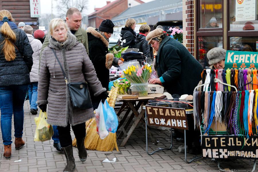 Кругом Голландия: сколько стоят цветы в центре Калининграда