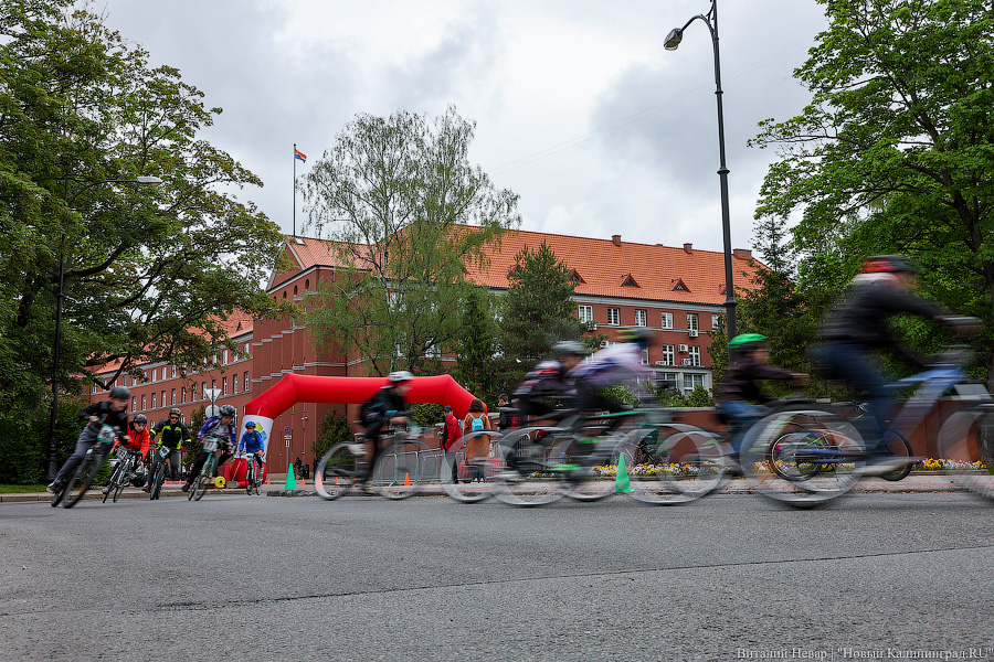 Лыжи, велики, унициклы: как прошёл велопарад в Калининграде (фото)