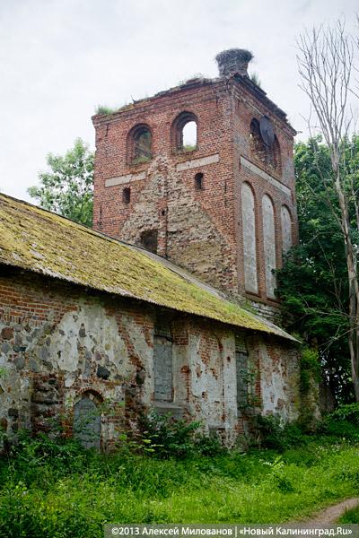 Легенды и лягушки: кирха в поселке Ново-Московское обрастает мхом и преданиями