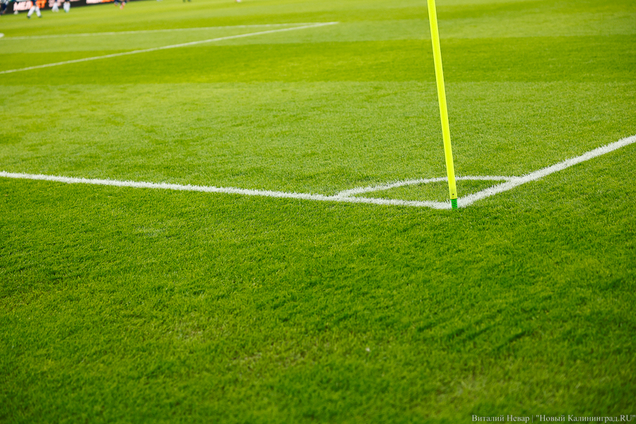 Сборная Аргентины по футболу стала чемпионом мира