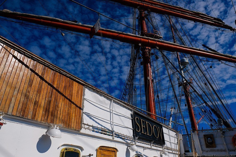 «Мама поседеет, папе пофиг»: «Крузенштерн» и «Седов» готовятся к кругосветке (фото)