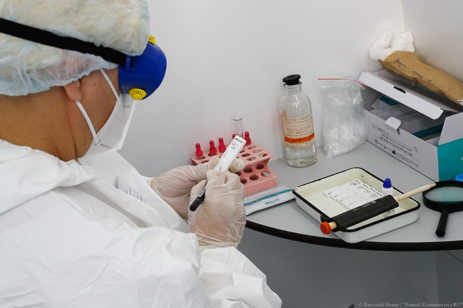 В Калининградской области зафиксирован 41 новый случай коронавируса