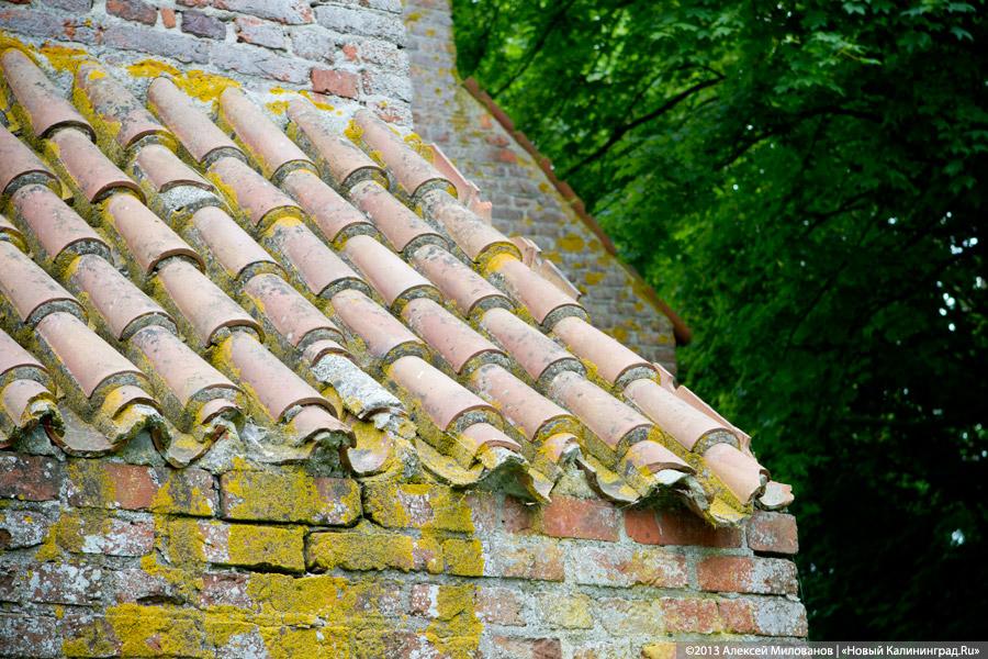 Часы и вороны: кирха в поселке Ушаково приходит в упадок