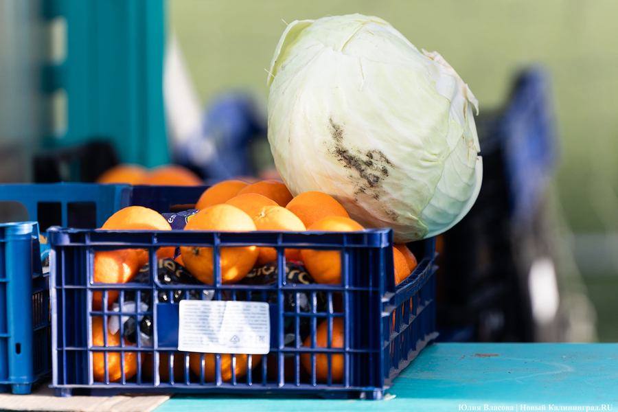 В Калининградскую область ввезли 1,2 тыс. тонн импортных овощей и фруктов