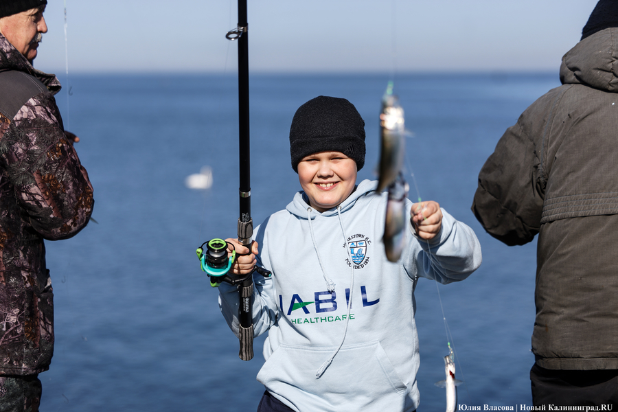 По несколько рыбин за раз: в Балтийске начался массовый лов салаки