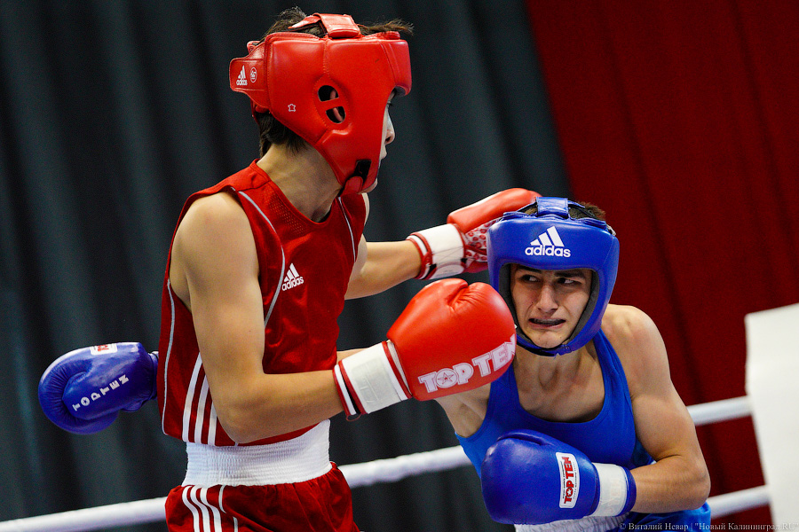 Очередной нокдаун: в Калининграде прошёл международный турнир по боксу «Янтарные перчатки»