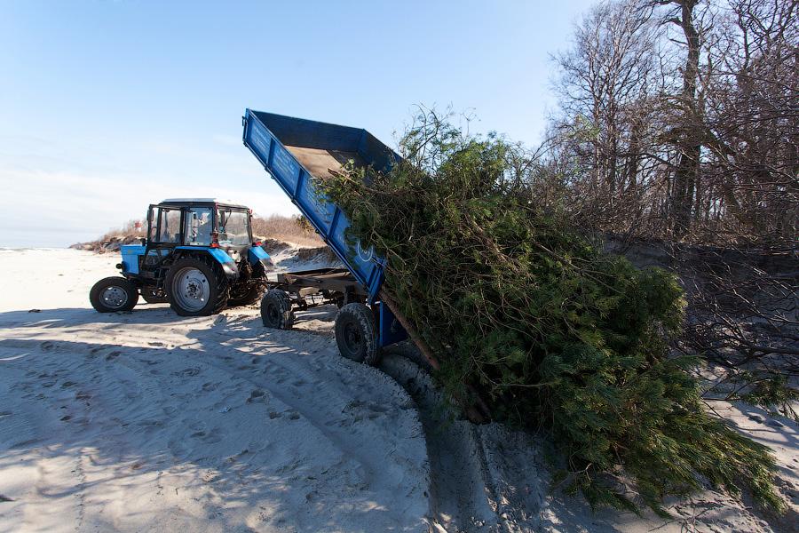 «Спасение косы: любительский вариант»: фоторепортаж «Нового Калининграда.Ru»
