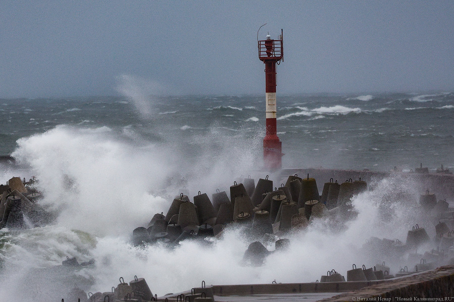 Что нам ветер: фоторепортаж из штормового Балтийска (фото)