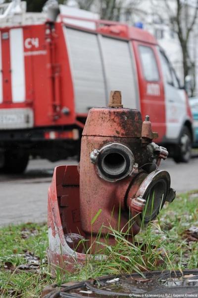 «Дым без огня»: фоторепортаж «Нового Калининграда.Ru»