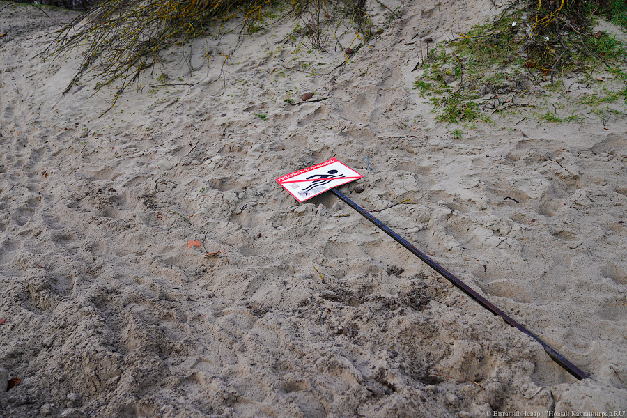 Игра в «Монополь»: как уничтожают авандюну при строительстве кафе в Зеленоградске (фото)