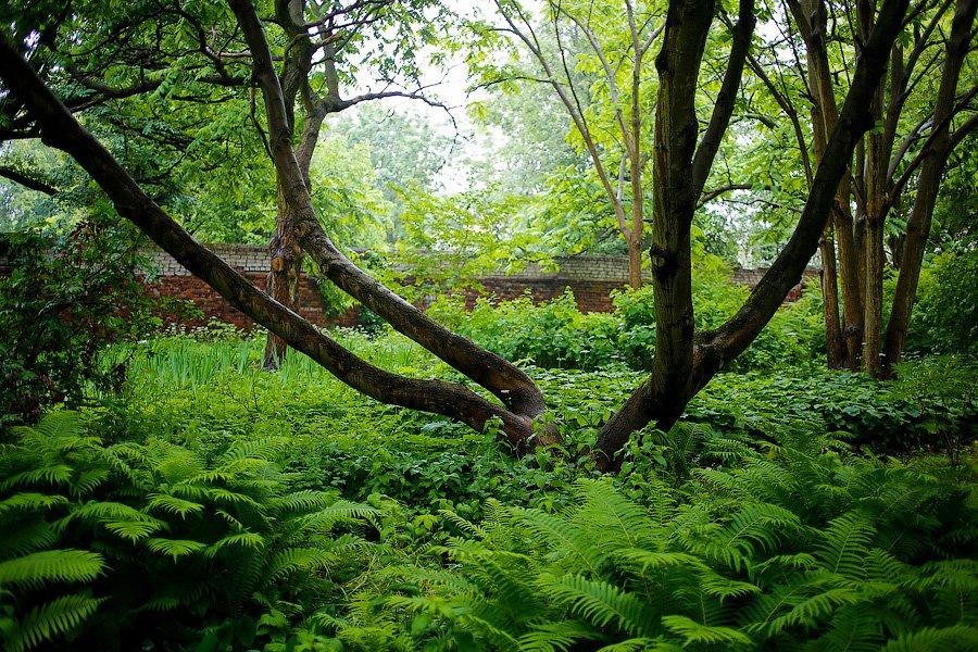 На неведомых дорожках: дендропарк калининградского Экоцентра