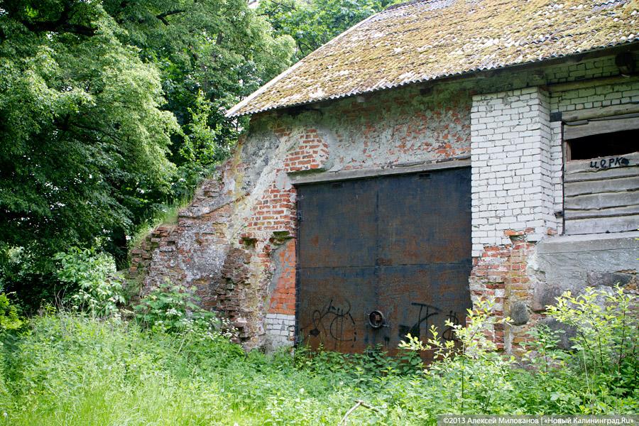 Легенды и лягушки: кирха в поселке Ново-Московское обрастает мхом и преданиями