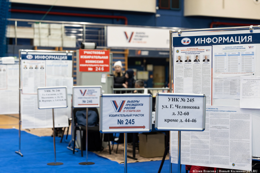 Один на ринге: как проходило голосование в Калининградской области (фото)