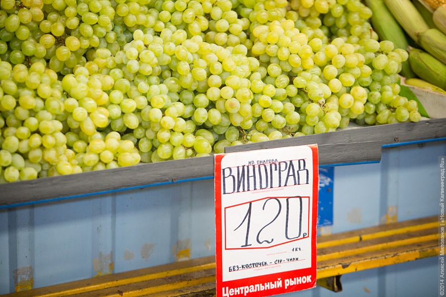 Министр сельского хозяйства пожелал продлить продовольственное эмбарго еще «лет на десять»