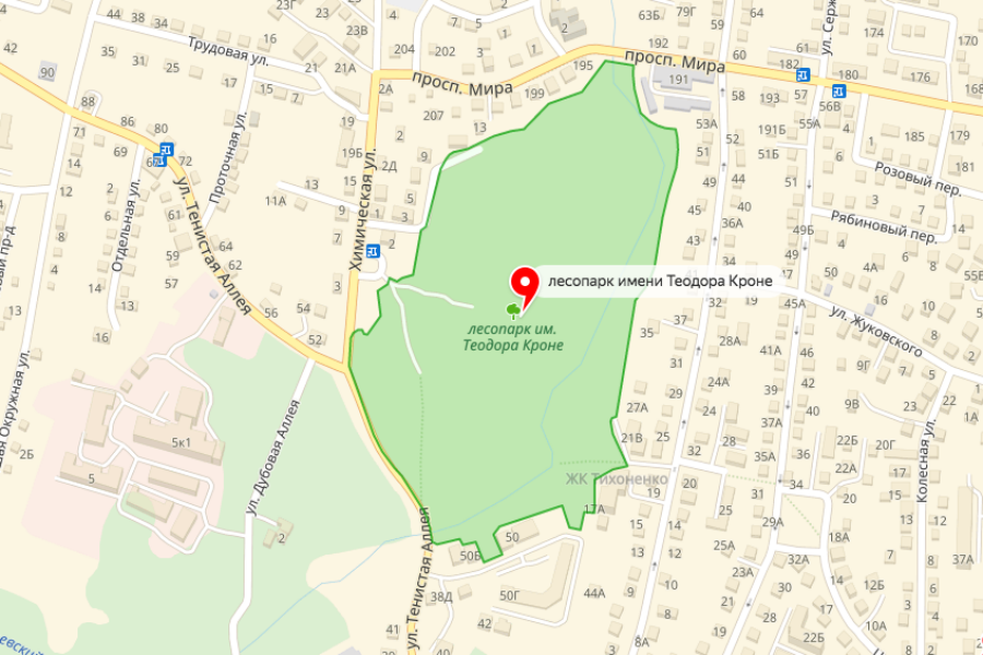 Мэрия хочет сделать парк Теодора Кроне историко-археологическим и ландшафтным