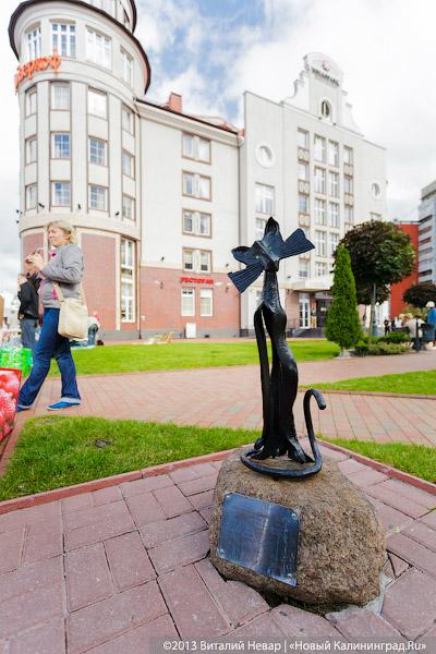 Кот — друг человека: в Калининграде отметили очередной кошачий праздник
