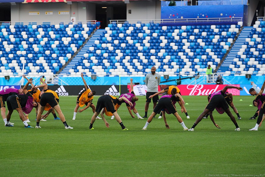 Кто из них не выйдет на поле?: предматчевая тренировка сборной Бельгии (фото)