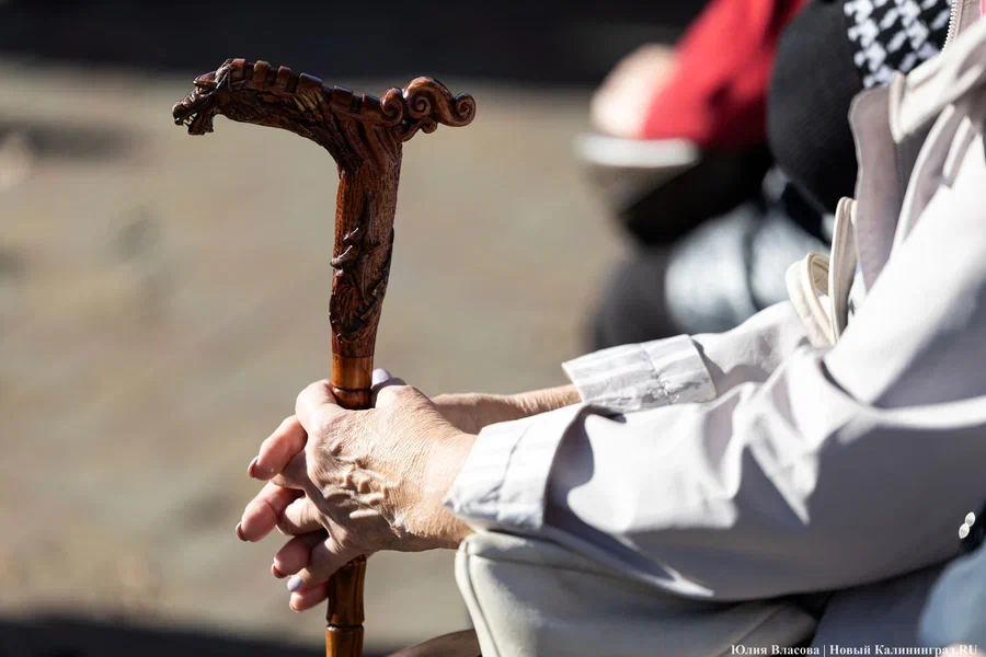 Минздрав: в Калининграде запускают годовой проект по профилактике когнитивных нарушений