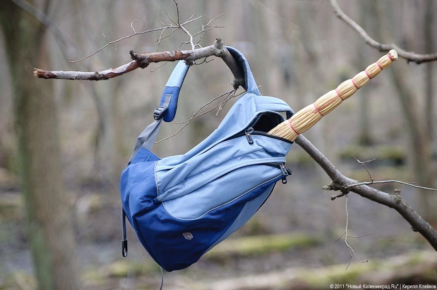 "Чистый лес: 115 на 40": фоторепортаж "Нового Калининграда.Ru" 
