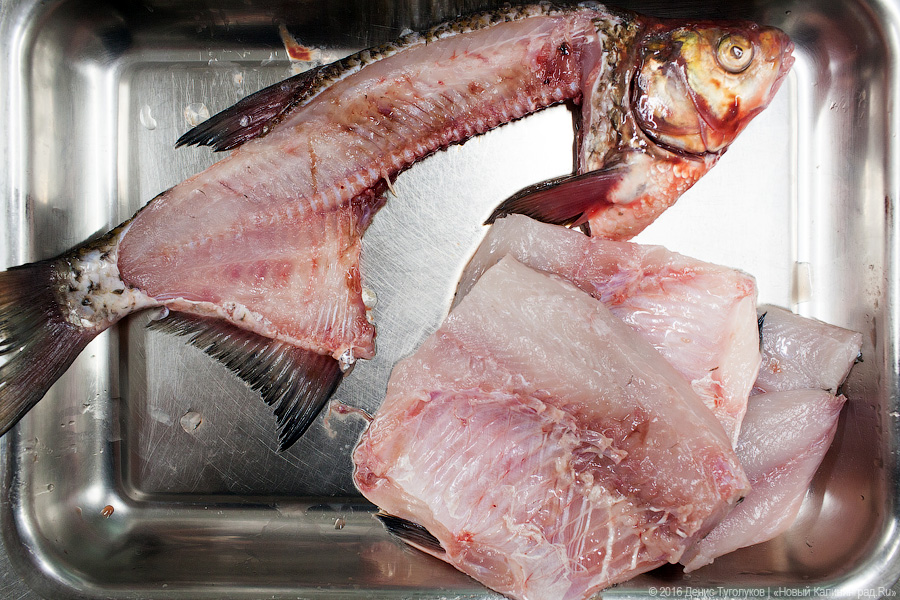 Треска из Пионерского, лещ из Полесска: что такое калининградская кухня