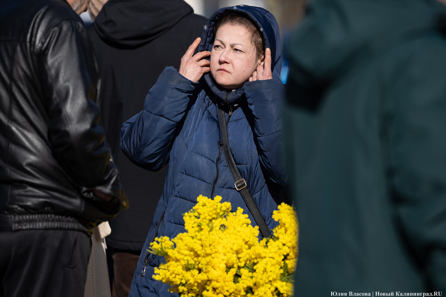 Цветочные баррикады: как выглядят улицы Калининграда 8 марта (фото)