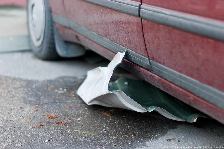 «А поутру они проснулись»: фоторепортаж «Нового Калининграда.Ru»