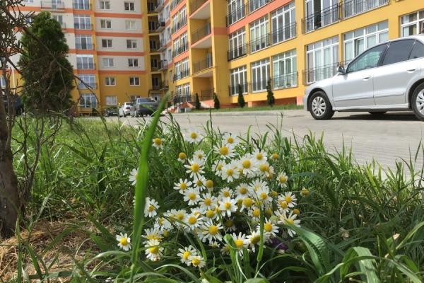ЖК «Васильково»: качественное жилье для комфортной жизни