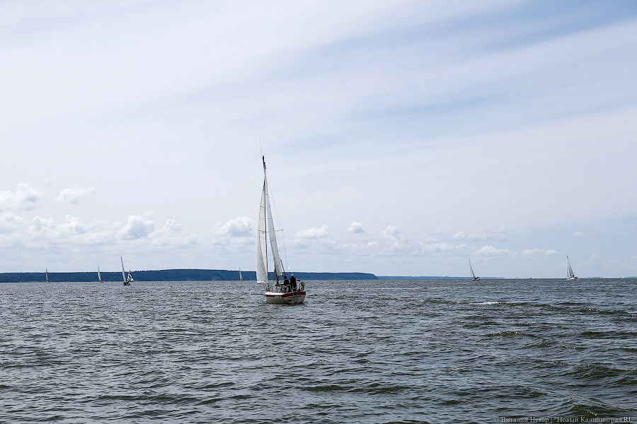 «Паруса духа»: как в Калининградском заливе инвалиды в регате побеждали