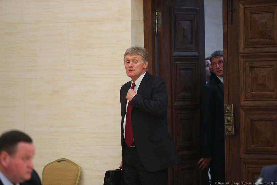Песков: Кремль не будет публиковать декларации Путина и сотрудников его администрации 