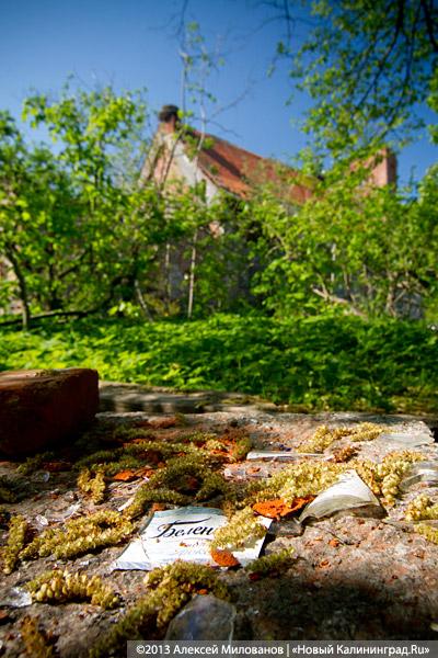 «Фрески и аисты»: вокруг кирхи в посёлке Кумачево идёт судебная тяжба