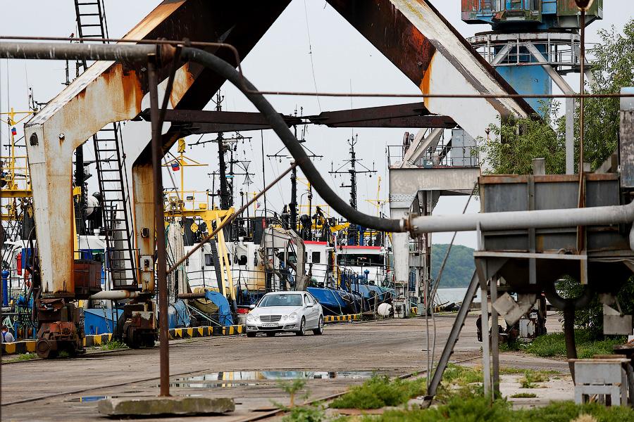 Без паники и спасибо Путину: что думают производители хлеба и консервов о продовольственном эмбарго