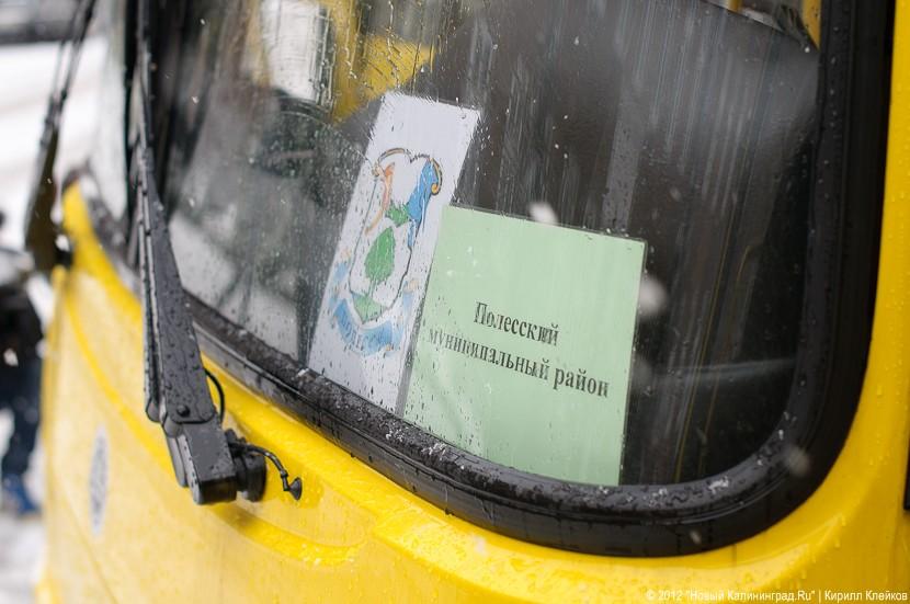 «Быстрее вырасти, чтоб стать министрами»: фоторепортаж «Нового Калининграда.Ru»