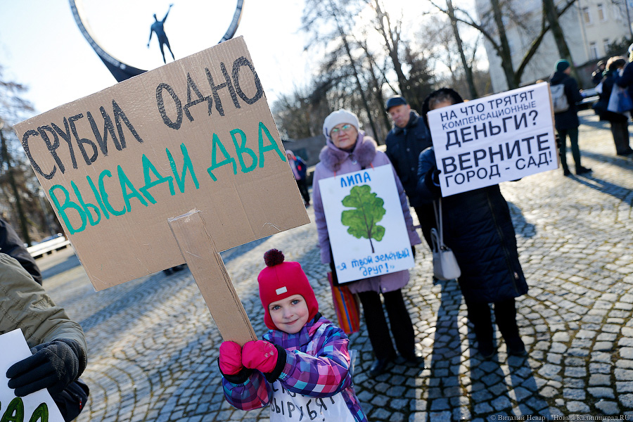 Greenpeace закрывает российское отделение после признания нежелательной организацией
