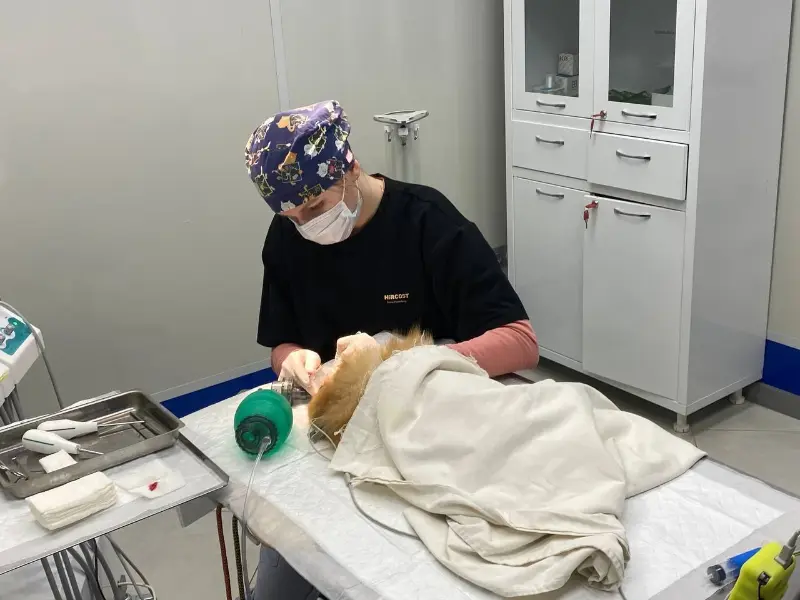 ГБУВ КО «Областная СББЖ»