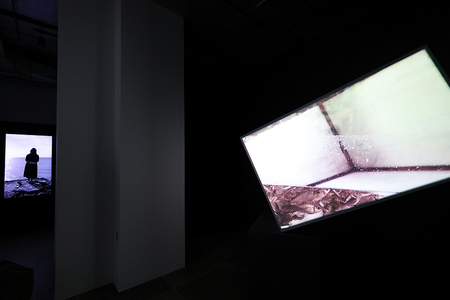 Фото: Виталий Невар / Новый Калининград 