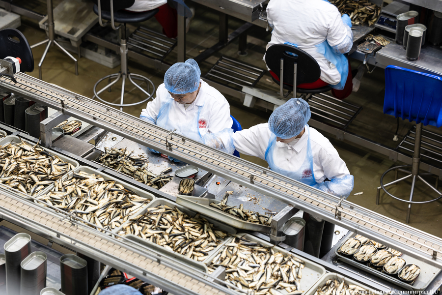 Облвласти: рыбхозкомплекс региона готов увеличить производство консервов на 25%