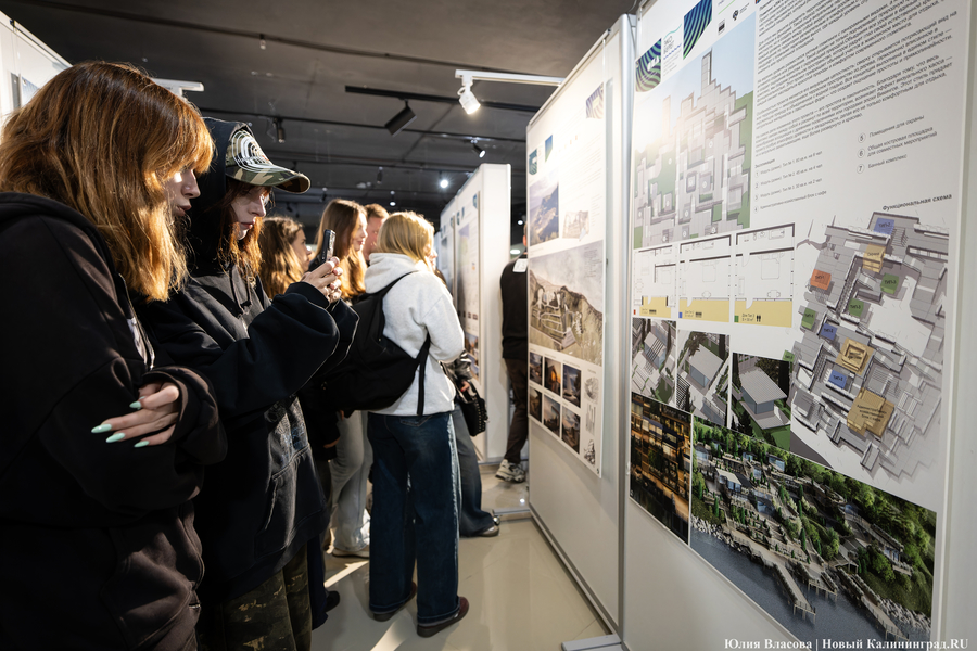 «Гнёзда» на Филинской бухте: проект из Москвы получил первую премию «ЭкоБерега» (фото)