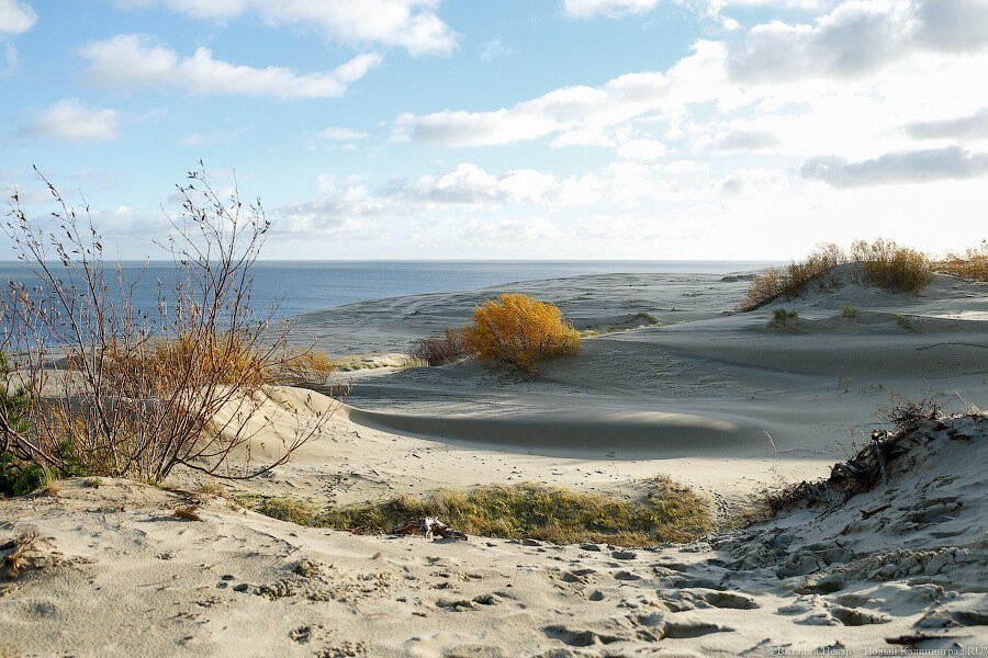 Действие прошлогодних пропусков на Куршскую косу продлено