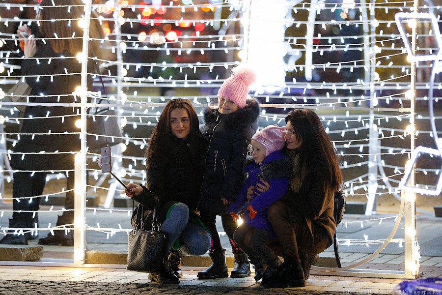 Открути оленю ушко: центр Калининграда украсили к Новому году (фото)