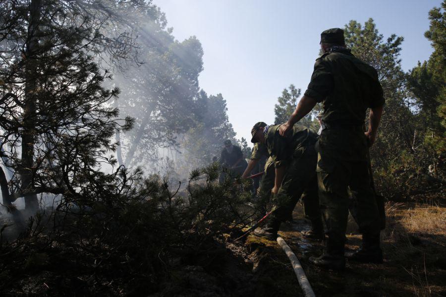 Пожар на дюне Эфа: возгорание на Куршской косе тушили вертолёты