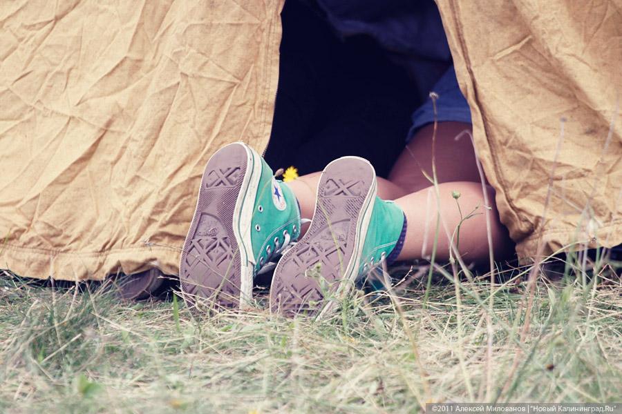 "Насекомая страна": фоторепортаж "Афиши Нового Калининграда.Ru"