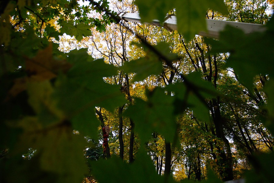 Синоптики прогнозируют до 25 градусов тепла в Калининграде на предстоящей неделе