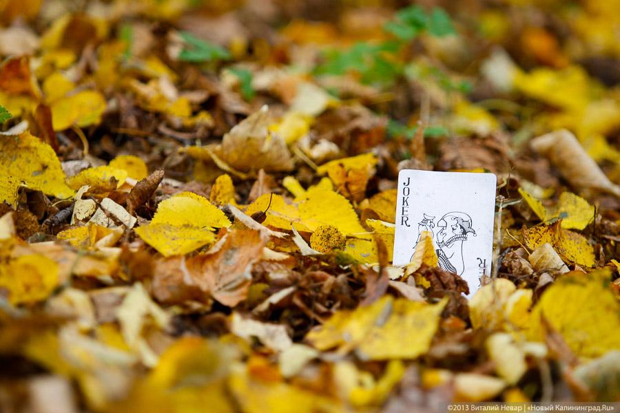 Днём совсем не страшно: осенний Балтийский парк