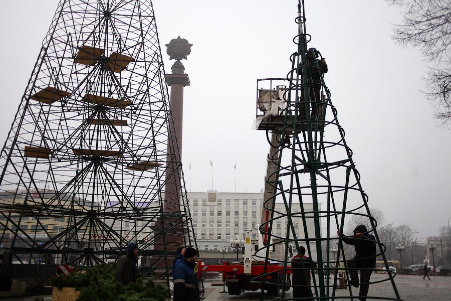 От каркаса до игрушки: в Калининграде собрали главную городскую елку