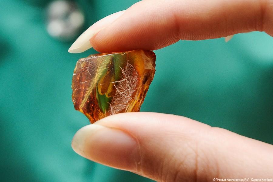 Неуловимый «Amber world»: Калининграду пока не светит стать столицей янтаря