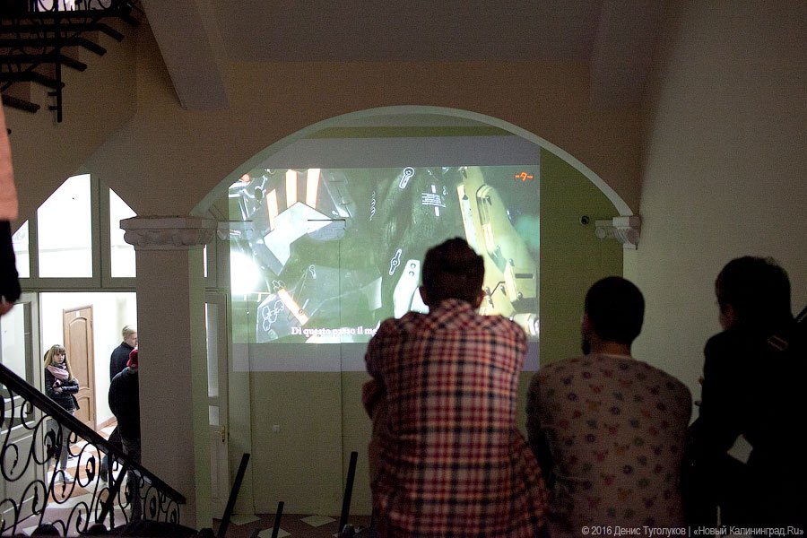 Фото — Денис Туголуков, «Новый Калининград.Ru»,