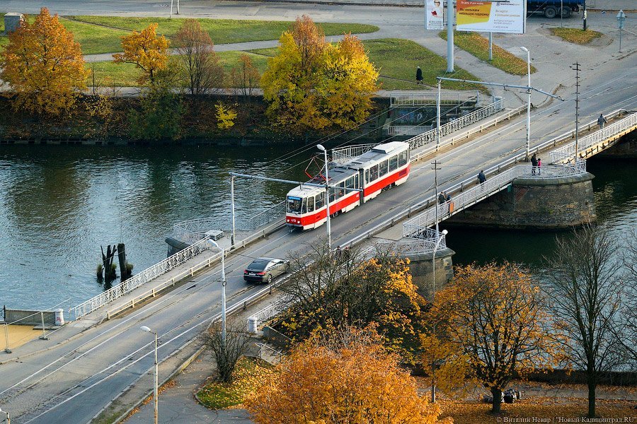 Фото — Виталий Невар, «Новый Калининград.Ru»